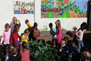 Community Garden